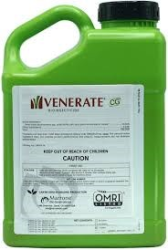 Venerate CG - 2.5 gal