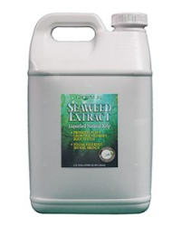 Grow More Seaweed Extract Organic - 2.5 gal