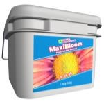 GH MaxiBloom - 16 lb