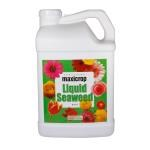Maxicrop Original Liquid Seaweed 2.5 Gallon