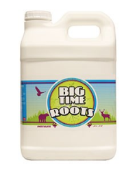 Big Time Rinse - 2.5 gal