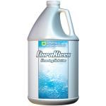 GH Flora Kleen - 1 gal