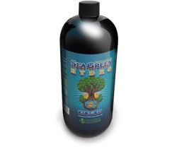 Sea Green HYDRO 32 OZ