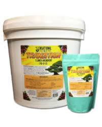 Tranzition Sensational Solutions