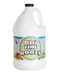 Big Time Roots - 1 gal