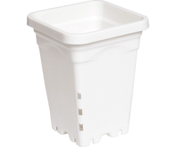 Active Aqua 5'' x 5'' Square White Pot, 7'' Tall Single