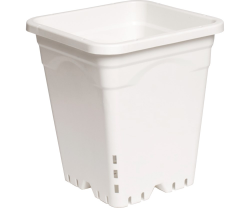 Active Aqua 9'' x 9'' Square White Pot, 10'' Tall