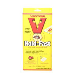 Victor Rat and Mouse Glue Tray 12ea/2pk