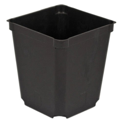 McConkey 3.5'' Square Perennial Pot BLACK JMCSR350-1B