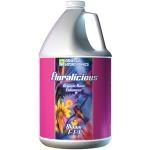 GH Floralicious Bloom - 1 gal