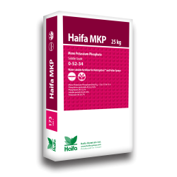 HAIFA MKP SG 0-52-34 50LB Monopotassium Phosphate