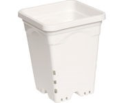 Active Aqua 6" x 6" Square White Pot, 8" Tall