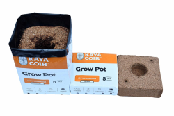 Kaya Coir 5" Open Top Coco Cubes Plastic Grow bag 40/Case
