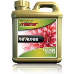 Dutch Master Reverse 1 Liter