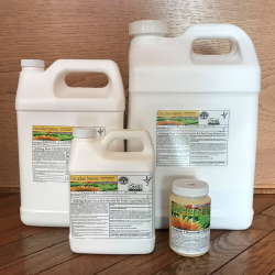 Circadian Sunrise 2.5 Gal