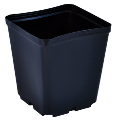 Pro Cal 5.5'' Square Pot single