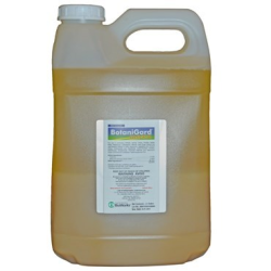 BotaniGard MAXX - 2.5 gal